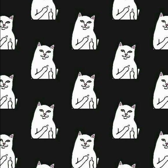 Profile Picture of Isabella Carabello (@thottie42069) on Poshmark