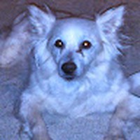 Profile Picture of Greg Killian (@greg-killian-11) on Quora