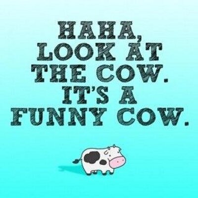 Profile Picture of Alexa Koch (@swirliecow903) on Twitter