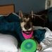 Profile Picture of Lisa Reaves (@lisa.reaves.50746) on Facebook