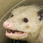 Profile Picture of Edith Ault (@edithault) on Instagram