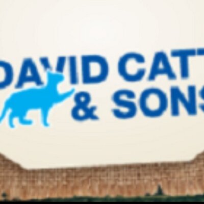 Profile Picture of David Catt And Sons (@Davidcatts) on Twitter