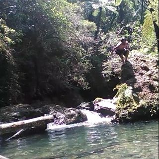 Profile Picture of Rex Cannon Pohoiwi (@rexcannon.pohoiwi) on Facebook