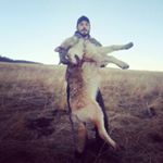 Eric Haaland - Instagram Profile Picture of Eric Haaland (@hunt_mt) on Instagram