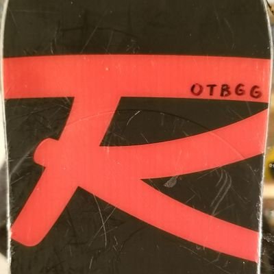 Profile Picture of Jo Perron (@PerronTanguay) on Twitter