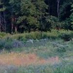 Profile Picture of Lori Raphael (@raphaellori) on Instagram