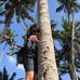 Profile Picture of Pauline Pedro (@pauline.pedro.75) on Facebook