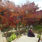 Profile Picture of Ying Fang (颍芳) (@yingfangg) on Instagram