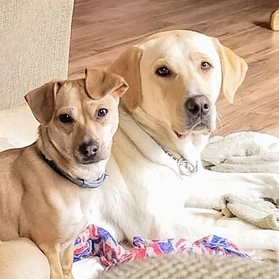 Profile Picture of Thomasina Meeks (@meeks_thomasina) on Twitter