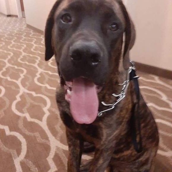 Profile Picture of Jack Cain (@cainjack961) on Poshmark