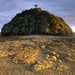 Profile Picture of AVA (@blountjf48be) on Instagram