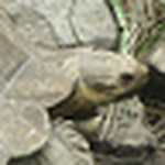 Profile Picture of Ale Y Rol (@ale y rol) on Flickr