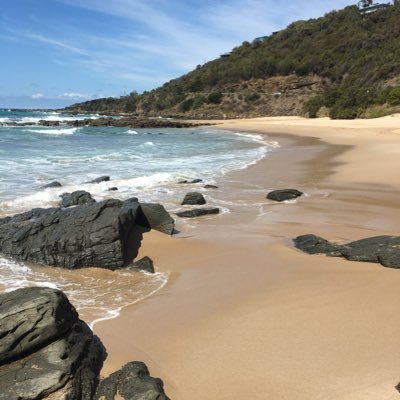 Profile Picture of Jenni Keller (@jenni_keller) on Twitter