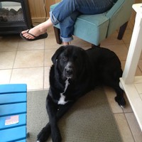 Profile Picture of Matthew Costantino (@matthew-costantino-4) on Quora