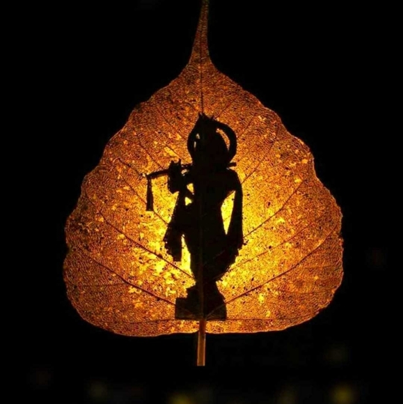 Profile Picture of Jeetu Jeetu (@jeetujeetu6523) on Poshmark