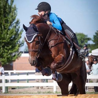 Profile Picture of Lisa Halverson Ouren (@Lisa-Halverson-Ouren) on Facebook