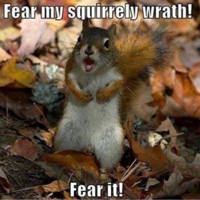 Profile Picture of Amanda Clifford (@amandaclifford5) on Twitter