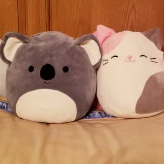 Profile Picture of Pam Hershey (@pam_hershey) on Twitter