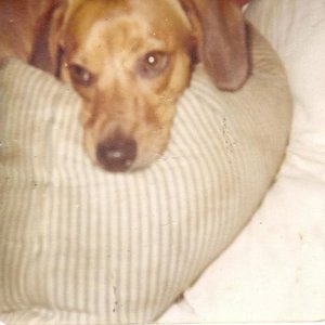 Profile Picture of Jullie Flink (@jaflink) on Myspace