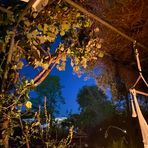 Profile Picture of Mark Duchene (@mark.duchene) on Facebook