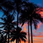 Profile Picture of jenna_harman18 (@jenna_harman18) on Instagram