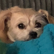 Profile Picture of Scott Newlin (@asapfame) on Youtube