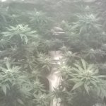 Profile Picture of mikehowse75 (@mikehowse75) on Instagram