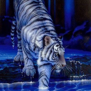 Profile Picture of John Timpson (@johnnytimp) on Myspace