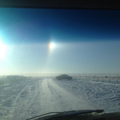 Profile Picture of Brad Wiens (@WiensBrad) on Twitter