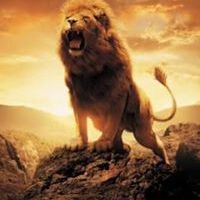 Profile Picture of Fouad Malik (@skandarmiko07) on Pinterest