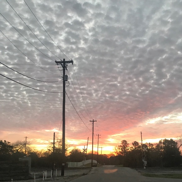 Profile Picture of Brian Sifford (@brsiff) on Poshmark