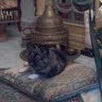 Profile Picture of Marwan Khoury (@marwan-khoury-4) on Quora