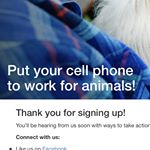Profile Picture of Robert Blount (@stopanimalcruelty_813) on Instagram