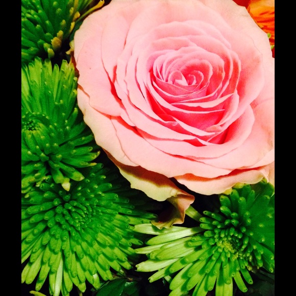 Profile Picture of Phyllis Christoff (@35113511) on Poshmark