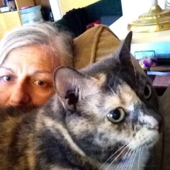 Profile Picture of Hilarie Jenkins (@hilkitty2) on Poshmark