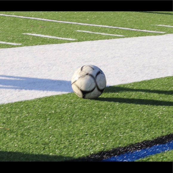 Profile Picture of Sara Fandl (@sfandl) on Poshmark