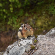 Profile Picture of Carlo Canlas (@carlocanlas2859) on Youtube