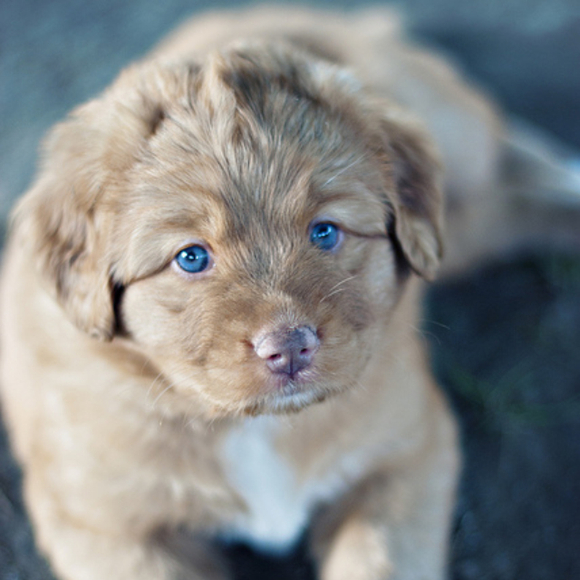 Profile Picture of Jenna Groenewold (@shrimpyyy) on Poshmark