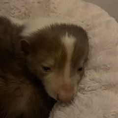 Profile Picture of barbarawiskowski (@barbara.wiskowski) on Tiktok