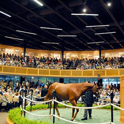 Profile Picture of Andrew Peele (@InformedBid) on Twitter