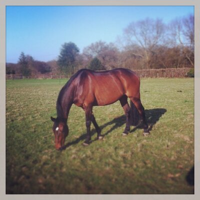 Profile Picture of Alison Perry  💙 (@PerriA) on Twitter