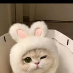 Profile Picture of Mark Kenneth Cardenas (@Mark-Kenneth-Cardenas) on Facebook