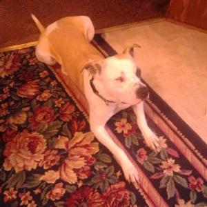 Profile Picture of Kendal O'Bryant (@kendalobryant91) on Twitter