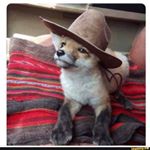 Profile Picture of Brandon Sarff (@sarffboi65) on Instagram