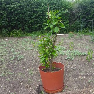 Guillermo Castrejon - Facebook Profile Picture of Guillermo Castrejon (@guillermo.castrejon.370) on Facebook