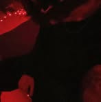 Profile Picture of Attila Molnár (@Attila-Molnár) on Facebook