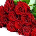 Profile Picture of Sera Gevorkian (@sera.gevorkian.35) on Facebook