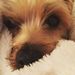 Profile Picture of Ally Hansen (@allymariehansen) on Pinterest