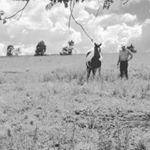 Profile Picture of Alfredo Iturralde (@iturraldealfredo) on Instagram