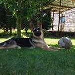 Profile Picture of Juraj Ceselsky (@ceselskyjuraj) on Instagram